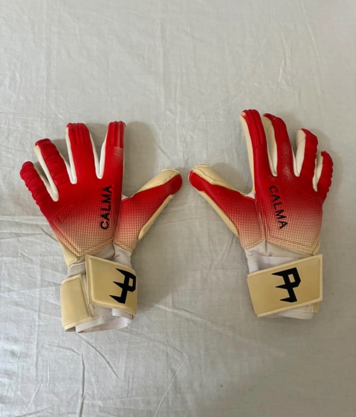 Matchworn Gloves Ajax Maarten Paes (Indonesië)