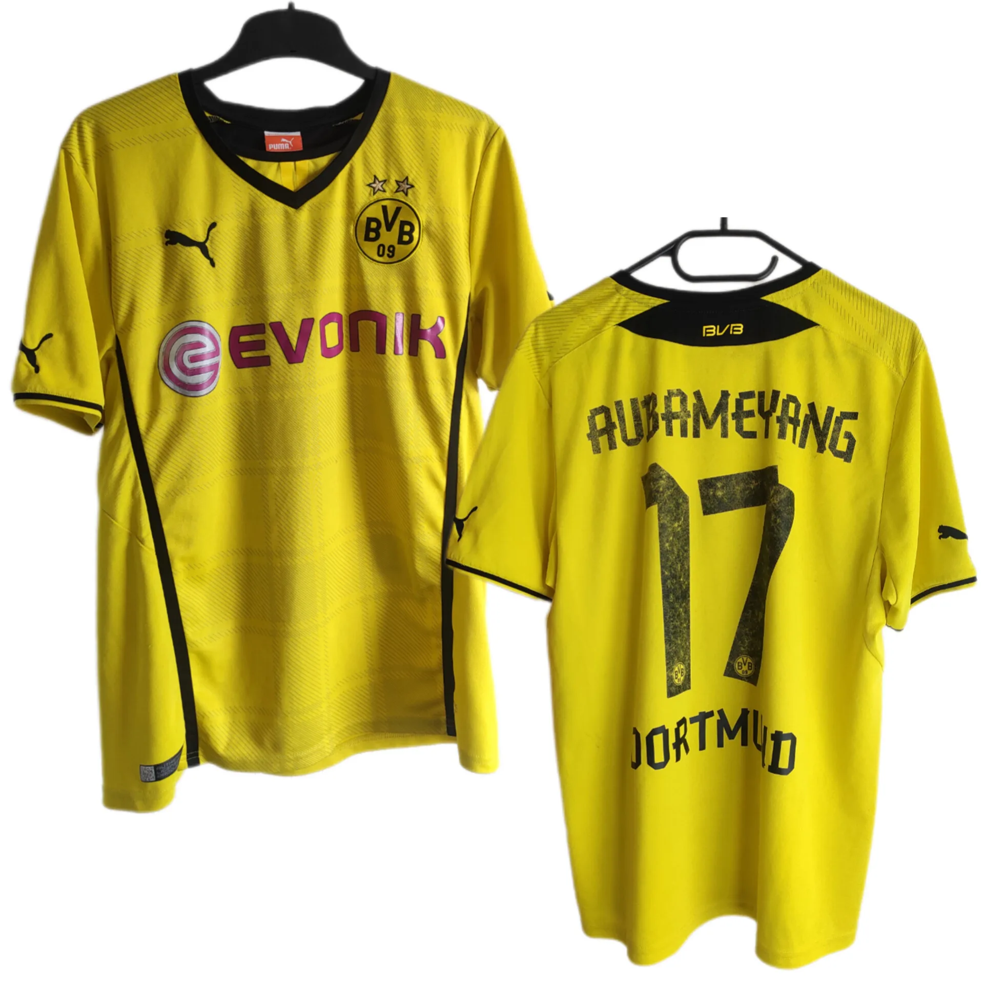 Borussia Dortmund 2013/14 Home